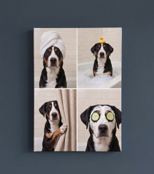Bathroom Pet Portrait