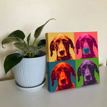 Pop Art Pet Portrait