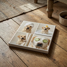 Pet Canvas Collage