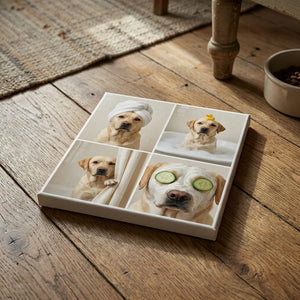 Pet Canvas Collage