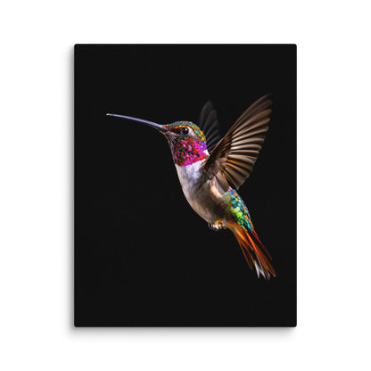 canvas  in  11x14 wall 698aba8e64aa6