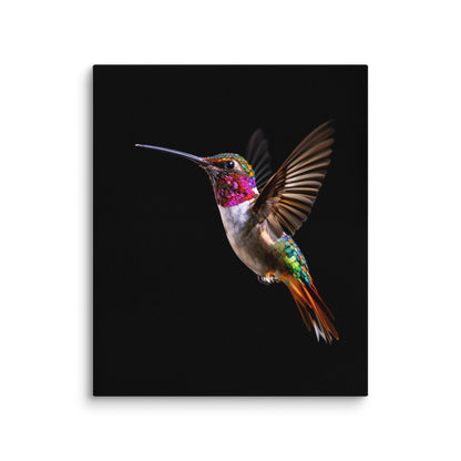 canvas  in  20x24 wall 698aba8e64b4b