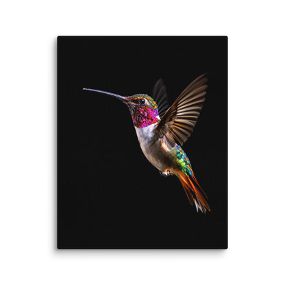 canvas  in  8x10 wall 698aba8e64be1