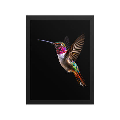 enhanced matte paper framed poster  in  black 12x16 front 698dc492262e0