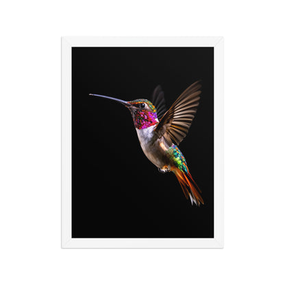 enhanced matte paper framed poster  in  white 12x16 front 698dc49226888