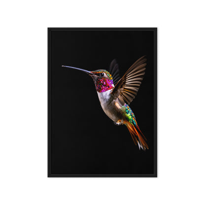 framed canvas  in  black 20x28 front 69809caa6b462
