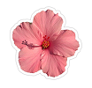 Sticker Cutout